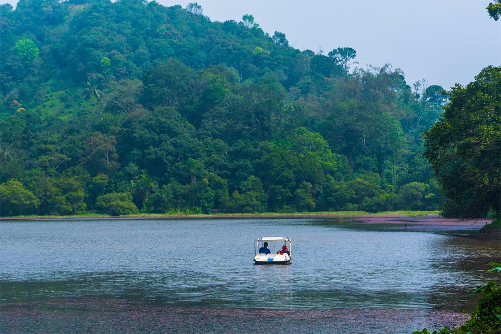 wayanad